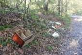 Souillure près de la D9